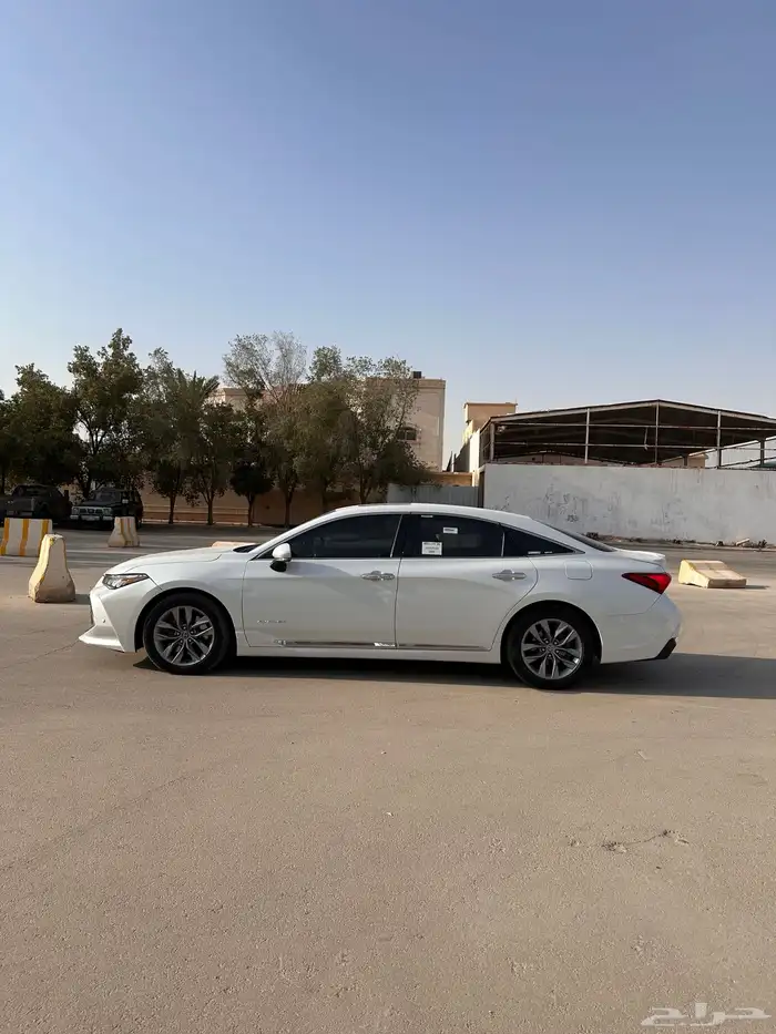 افلون 2019 تورنق 2