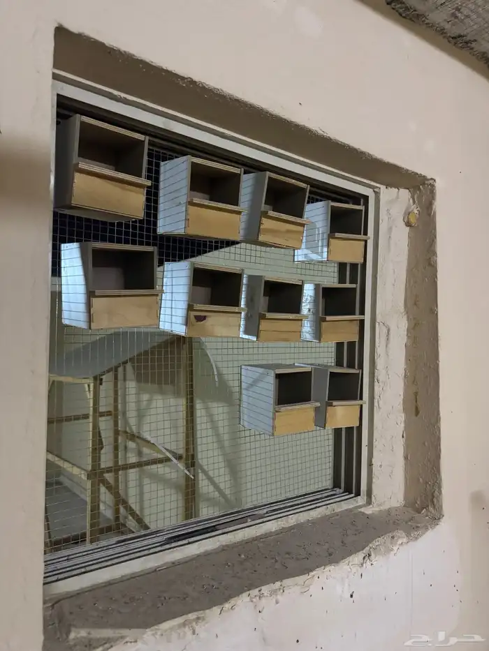 مستلزمات طيور 3