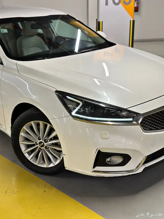 كادينزا 2017 شد بلد 14