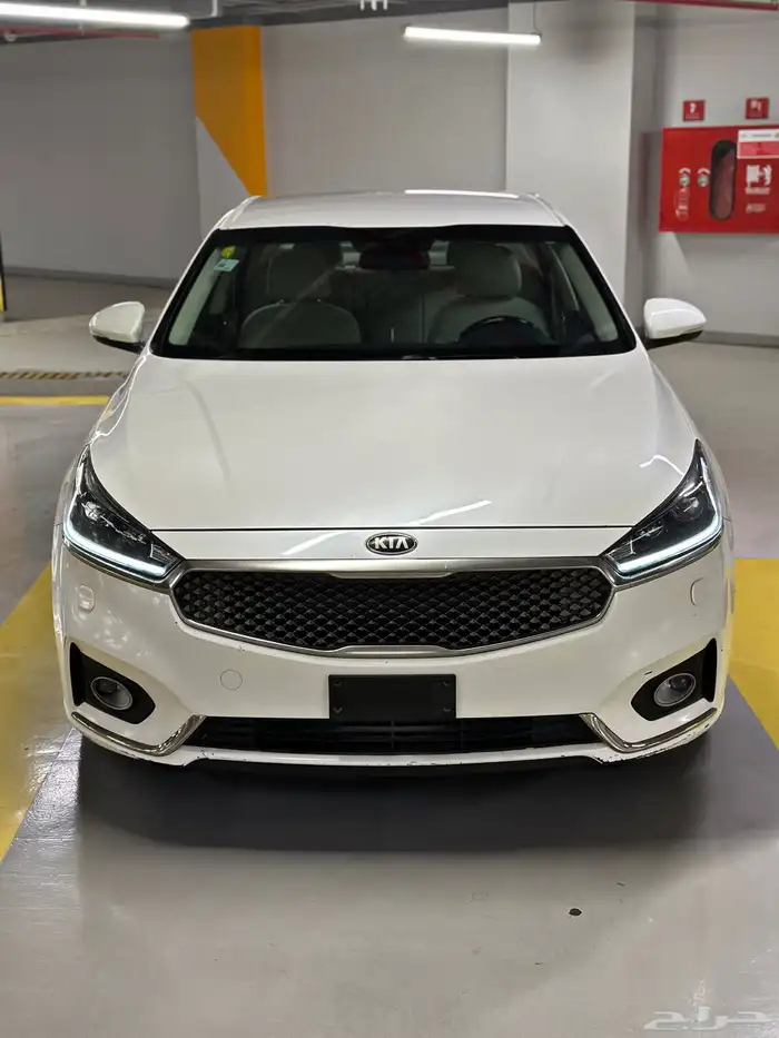 كادينزا 2017 شد بلد 0