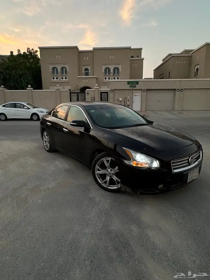 ماكسيما 2014 0