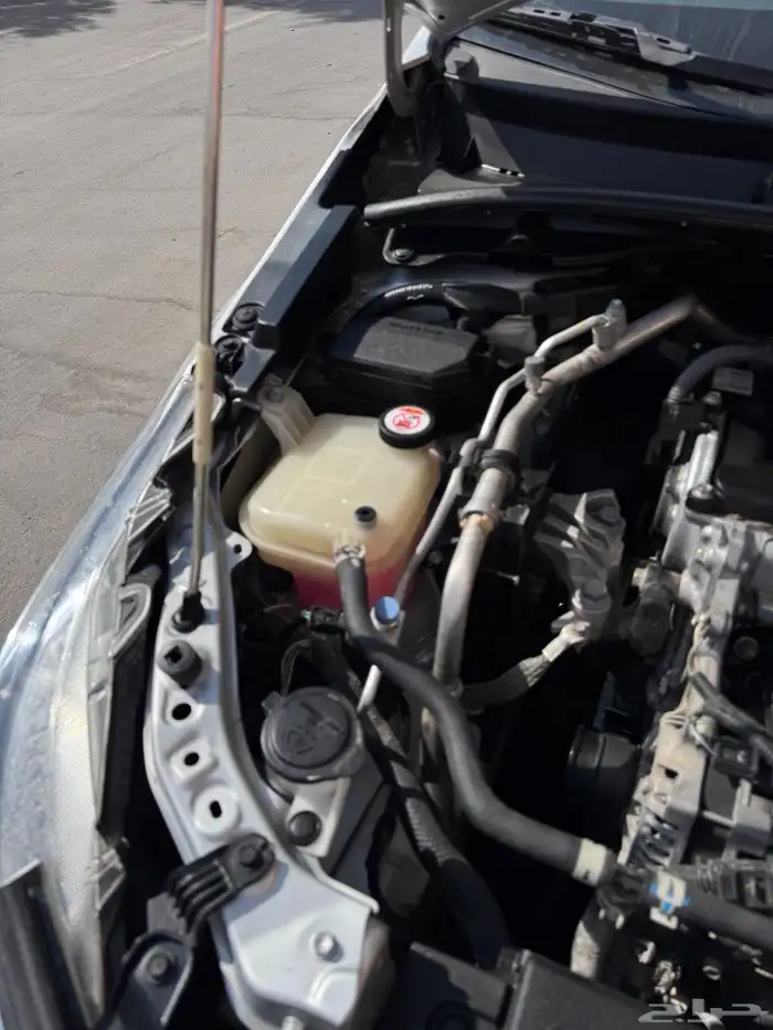 كورله شرط محركات بودي ارباقات قزاز على حالة الوكاله 15