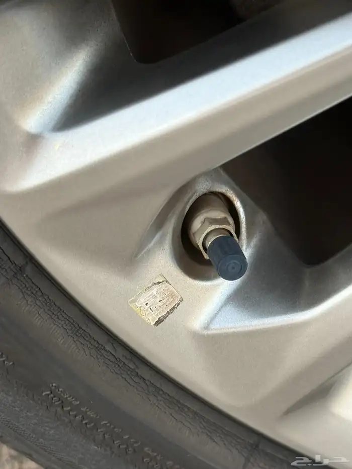 أفالون بريميوم ( مخزن ) 43