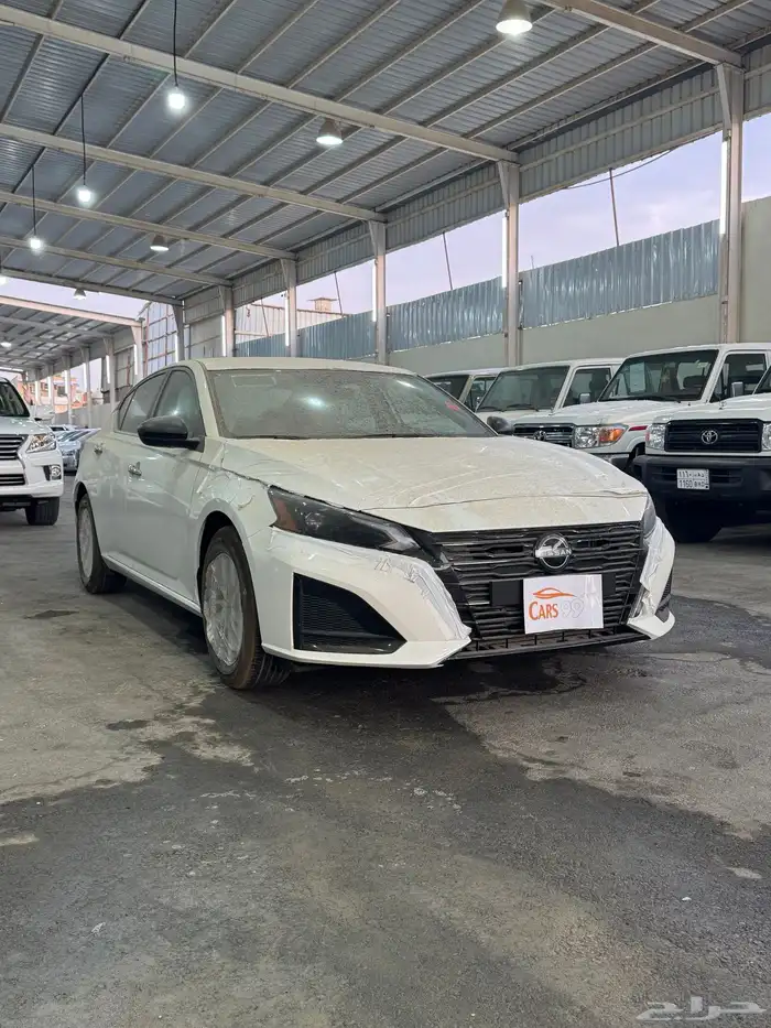 التيماء ستاندر 1