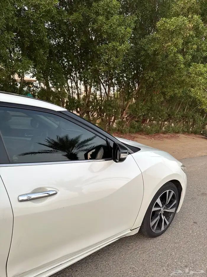 مكسيما 2017 SV مالك اول استخدام نظيييف 7