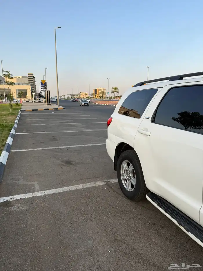 سكويا دبل فل كامل دفلك 12