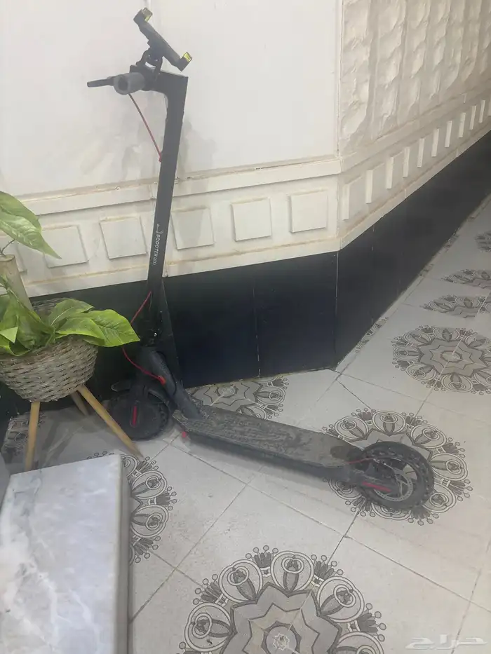 سلام عليكم سكوتر شومي 0