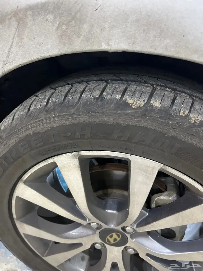 جنوط اكسنت 2016 1