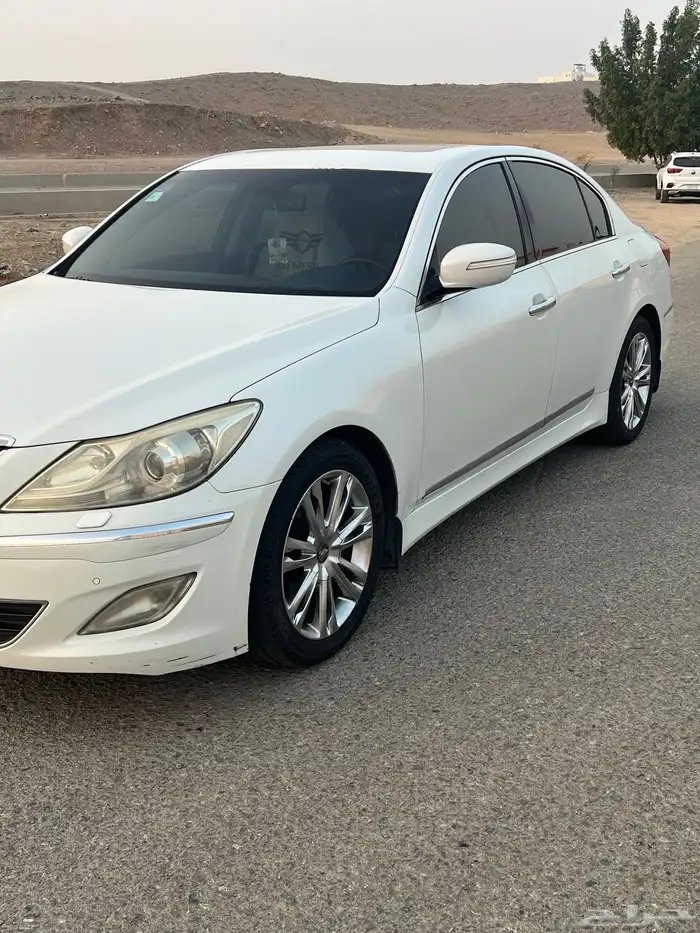 للبيع جينسس 2013 4