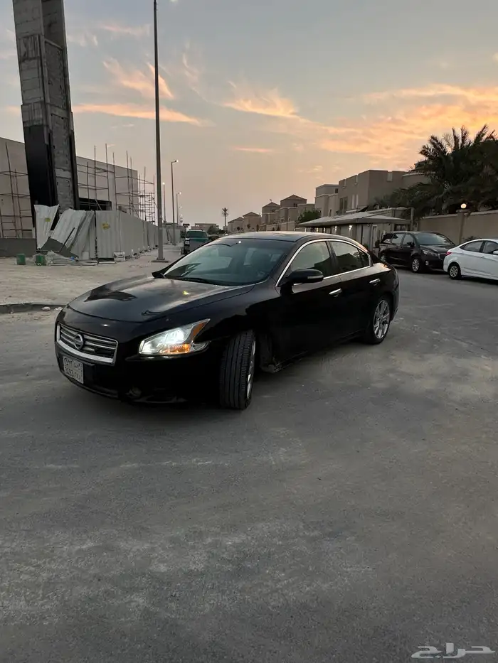 ماكسيما 2014 5