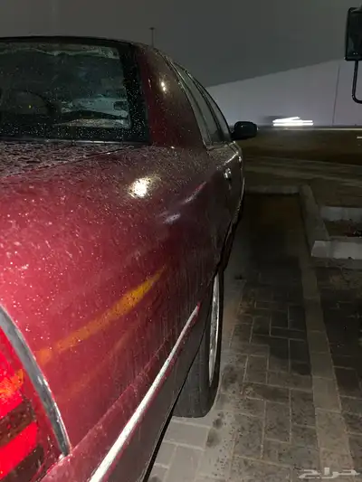 ماركيز 2008 index