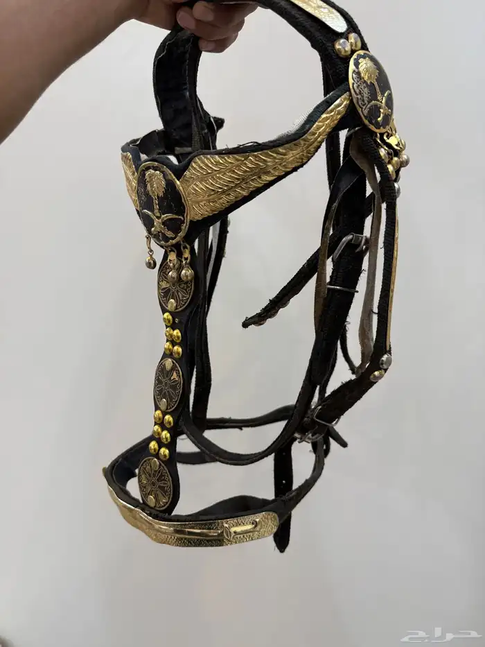 لجام خيل ذهبي وسرج للبيع 1