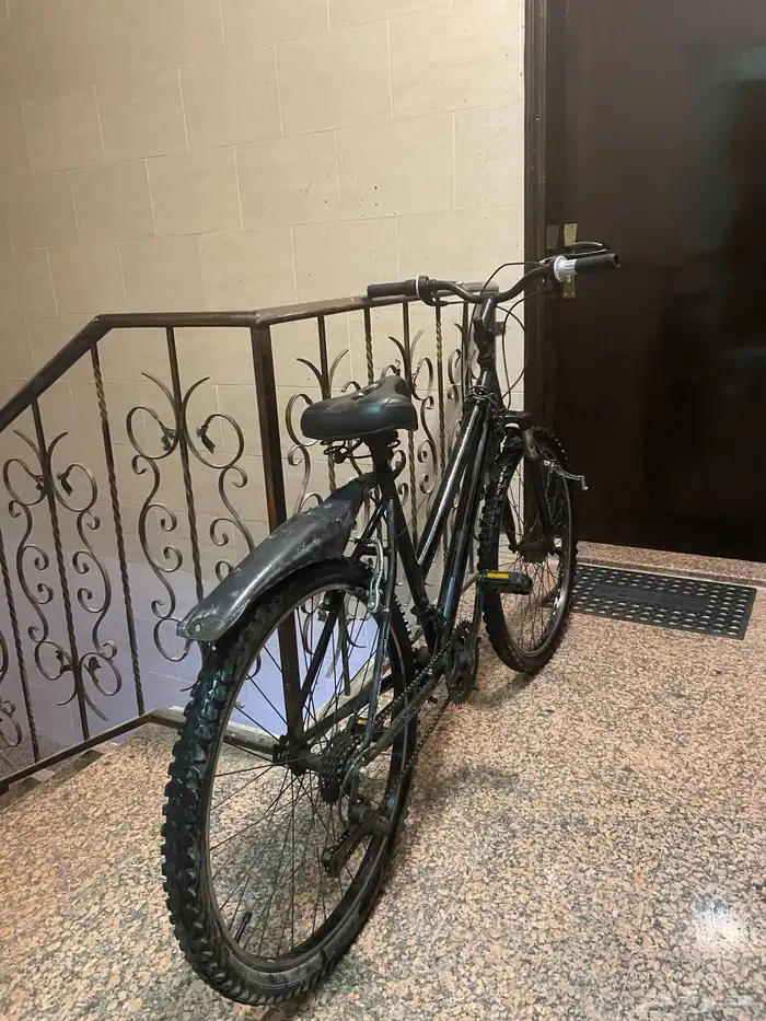 سيكل إندنوسي 2