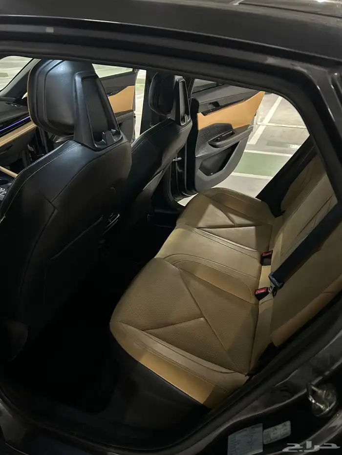 شانجان يوني في 2024 15