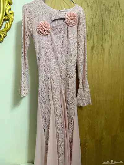 فيتان وردي اللبيع شبه مستخدم index