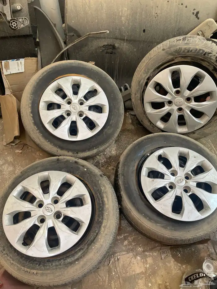 جنوط اكسنت وكالة مع الطيس 3