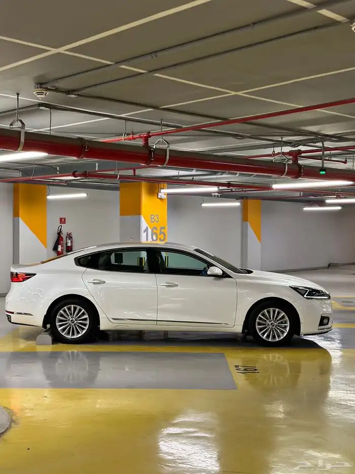 كادينزا 2017 شد بلد 2