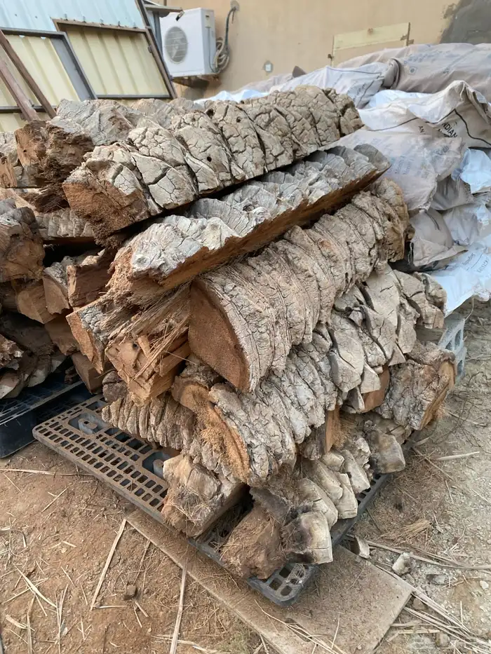 كرب وجذوع النخل 2