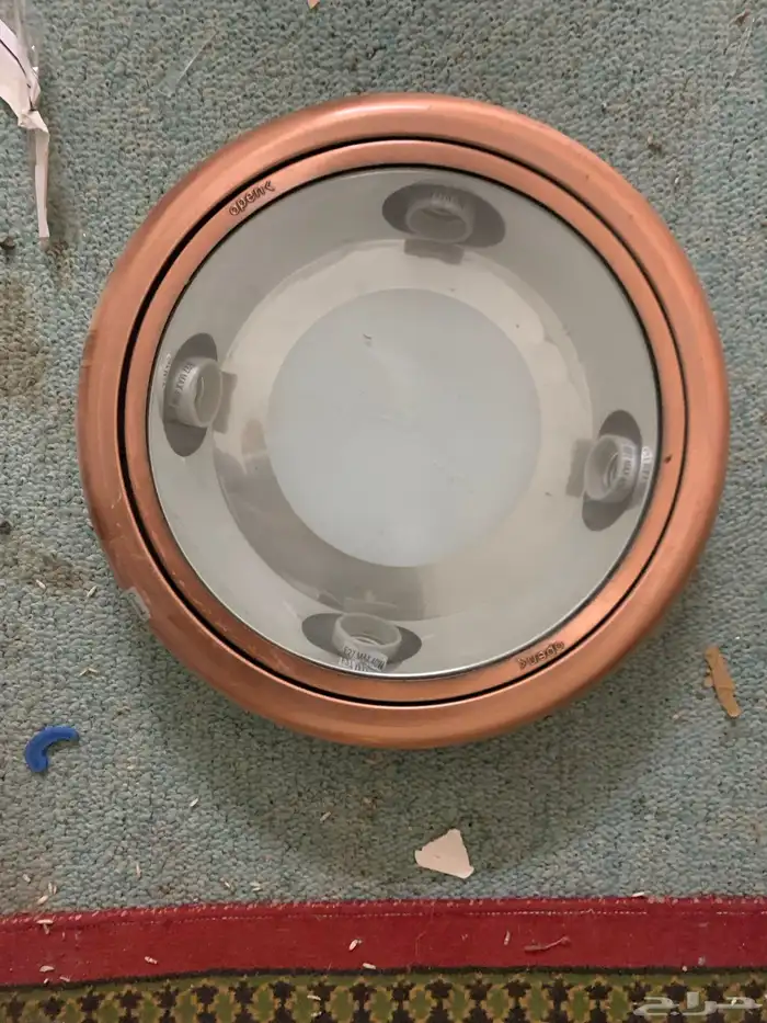 لطش 10 حبات سليمه ونظيفه 1