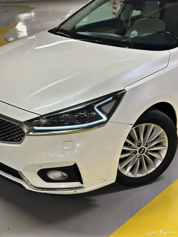 كادينزا 2017 شد بلد 12