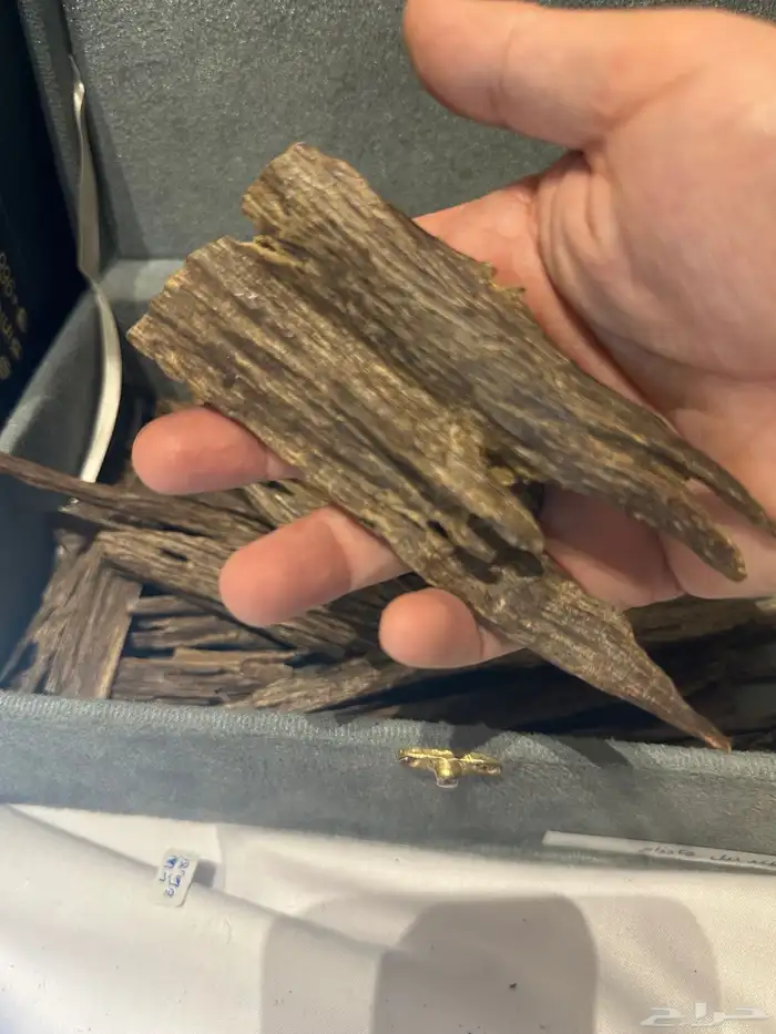 عود هندي ناجلاند فاخر 9