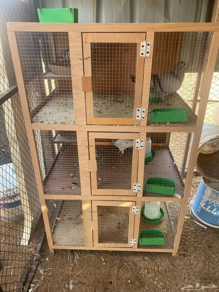 للبيع عدد 2جوز باكستاني عدد 1جوز فرنسي سلفر مع المحكر 6