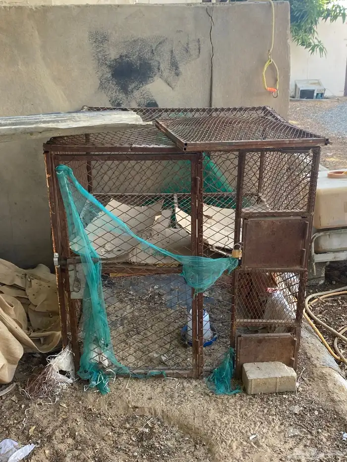 شبك دجاج دورين 0