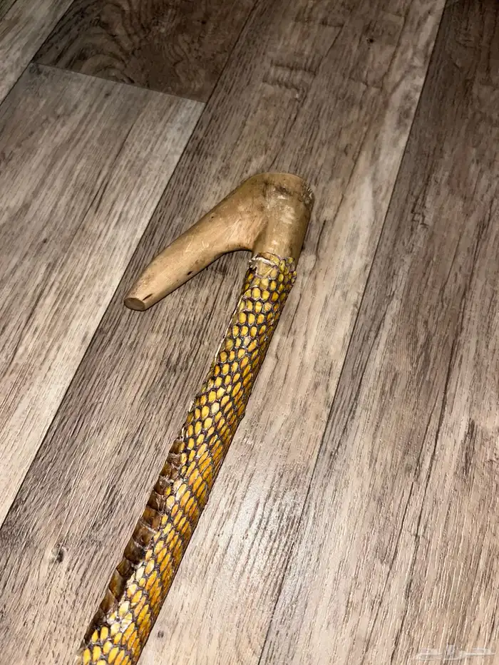 مشعاب للبيع على السوم 2