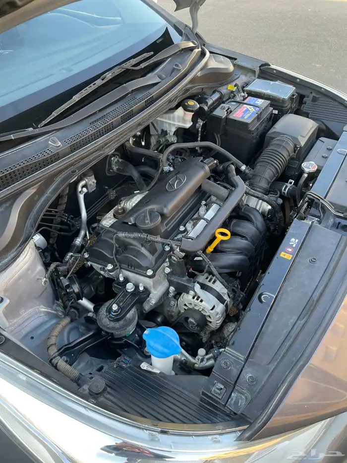 اكسنت 2019 نظيفة شرط 17