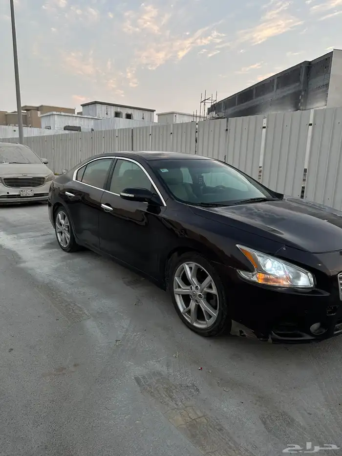 ماكسيما 2014 11