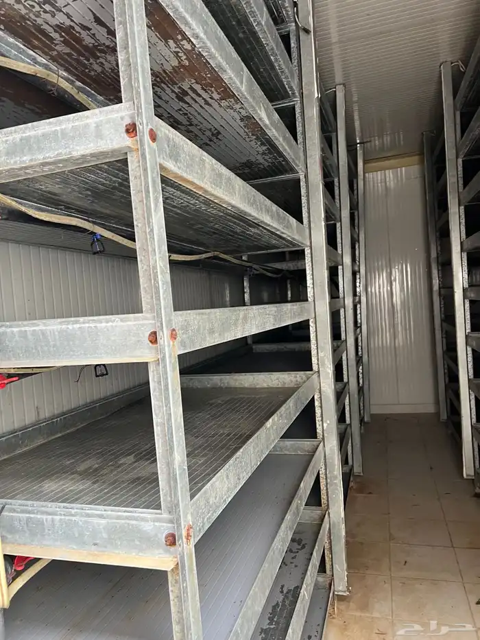 غرفة وثلاجه استنبات الشعير انتاج يومي 4 طن 3