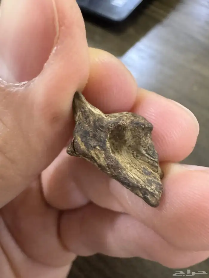 دقة عود سيلاني قديمة وثقيلة ( 20 جرام ) 4