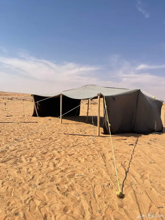 قطبه للبيع 1