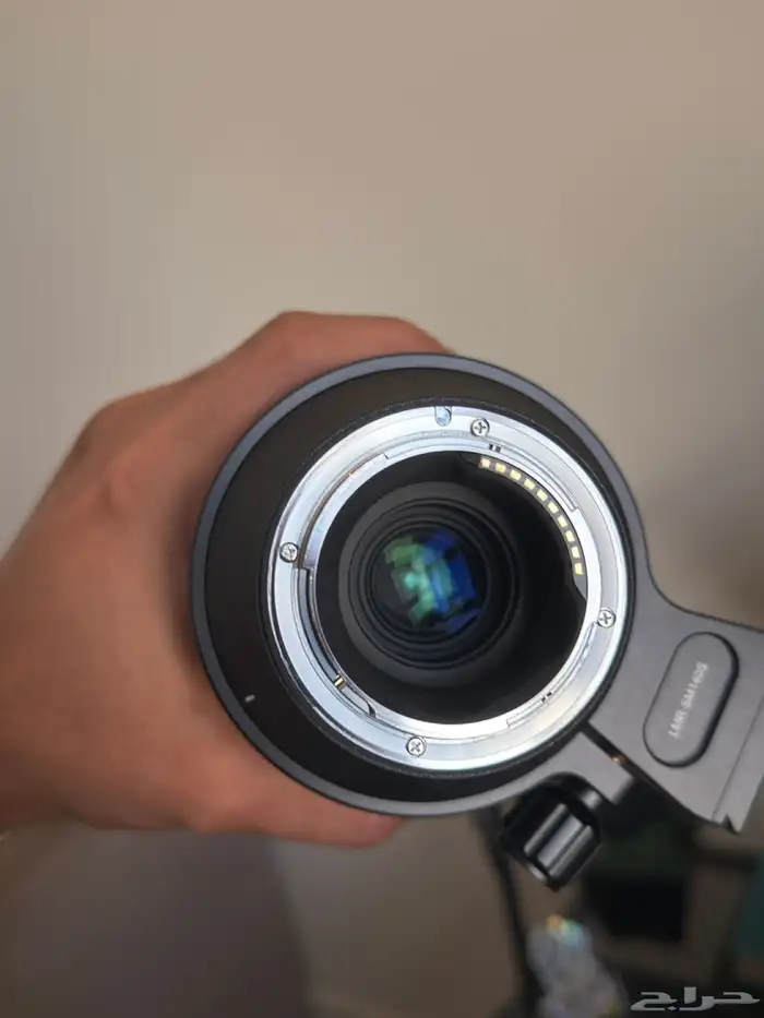 sigma 100-400 lens 2