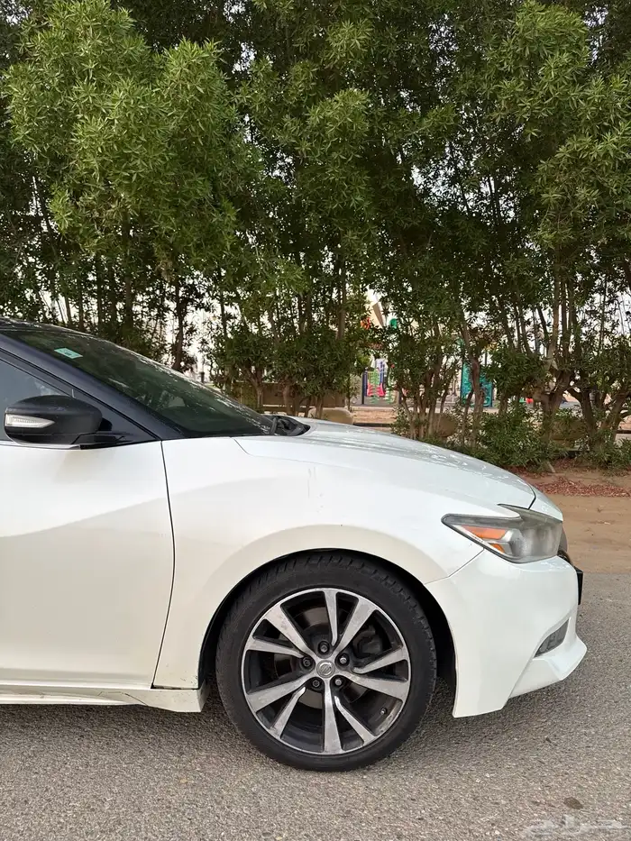 مكسيما 2017 SV مالك اول استخدام نظيييف 6