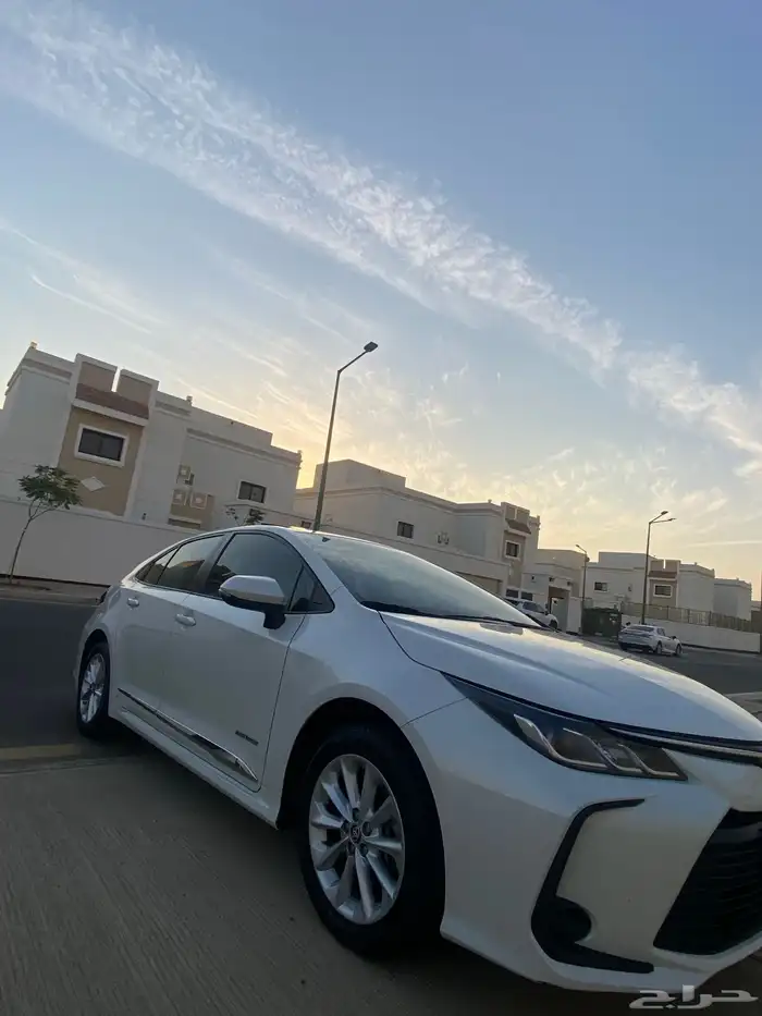 تم البيع تم البيع 29