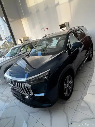 جيلي اوكافنجو فل كامل GF 2025 ضمان وصيانه الوعلان index