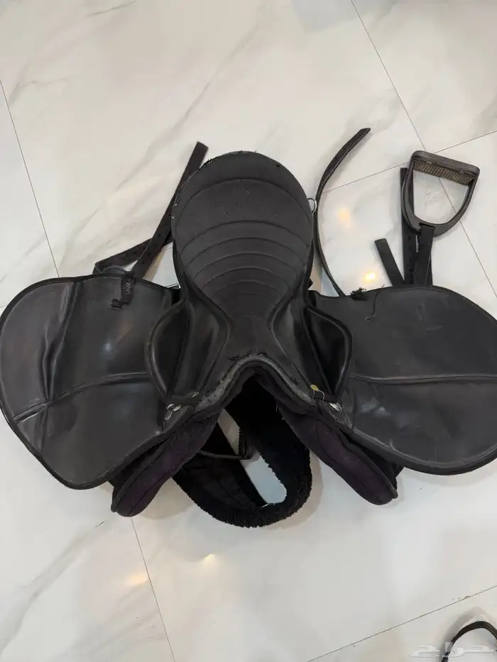 لجام خيل ذهبي وسرج للبيع 3