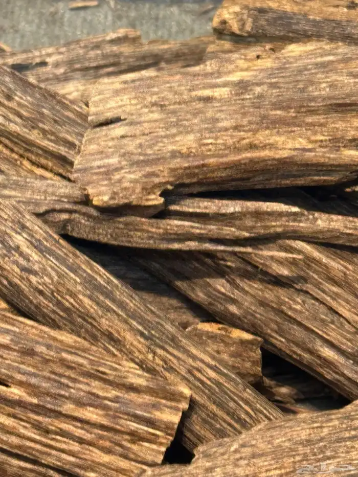 عود هندي ناجلاند فاخر 7