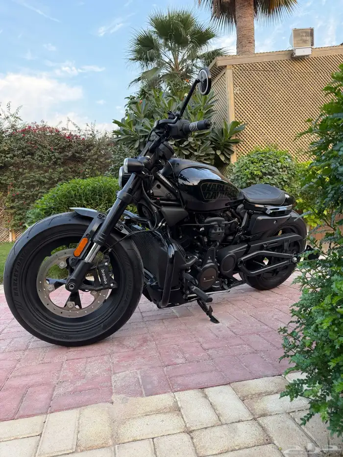 هارلي سبوستر S 2021 9