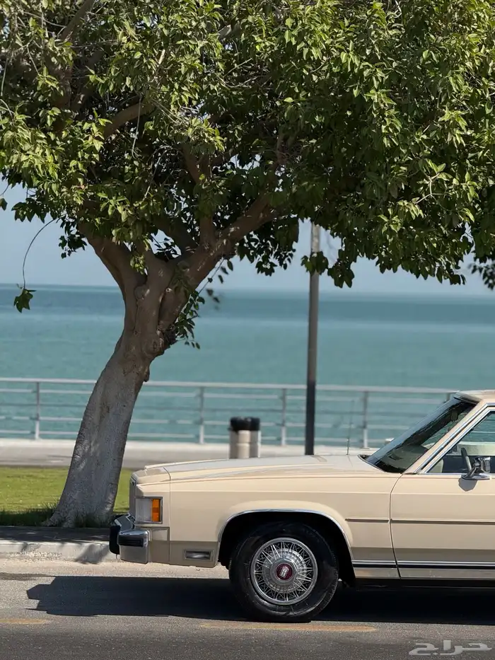 فورد ماركيز كلاسيك 19