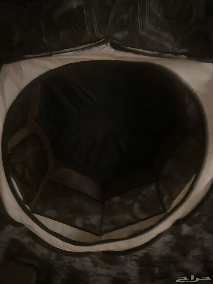 قطط ذكور للبيع 5