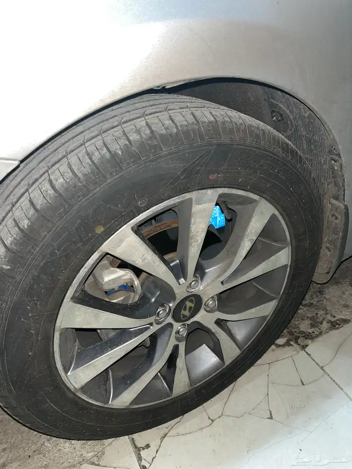 جنوط اكسنت 2016 2