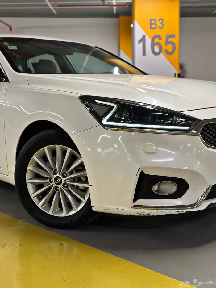 كادينزا 2017 شد بلد 13