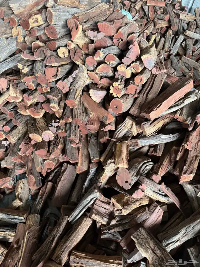 حطب قرض أفريقي 0