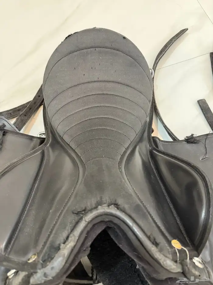 لجام خيل ذهبي وسرج للبيع 5