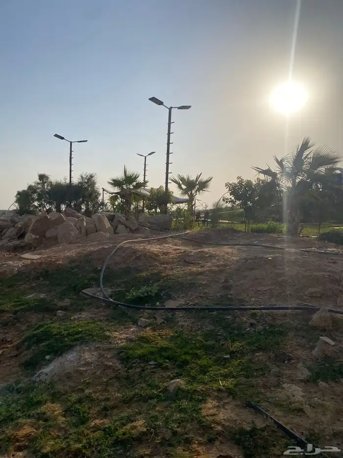 مخيم للايجاروسترحه 5