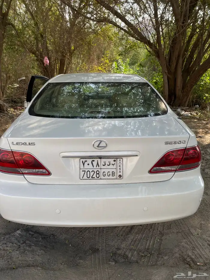 زهرة العمره 4