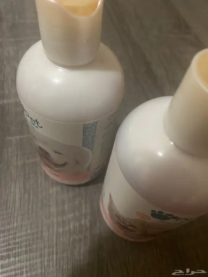 قطط ذكور للبيع 8