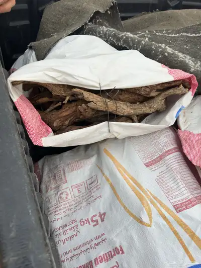 توفر خياش ارط البيع 0